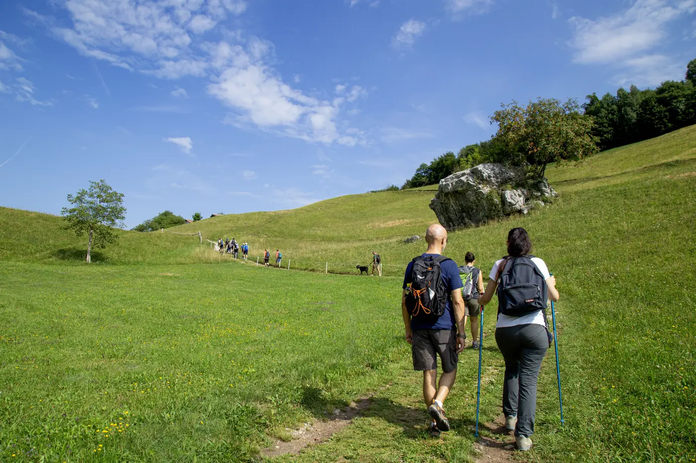 Camminata sportiva con i bastoncini